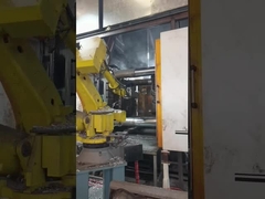 البحر / الجو / الشحن السريع الصب الصبغات الخشبية / عبوة الفوليت